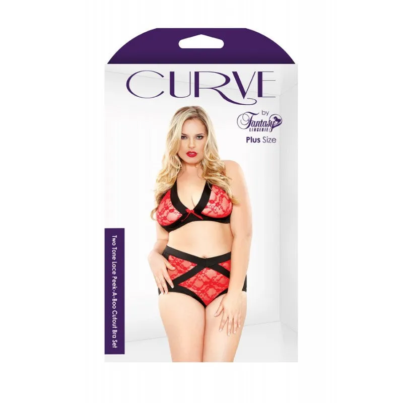 Curve Plus Size Contrast Lace Cutout Bra & Panty