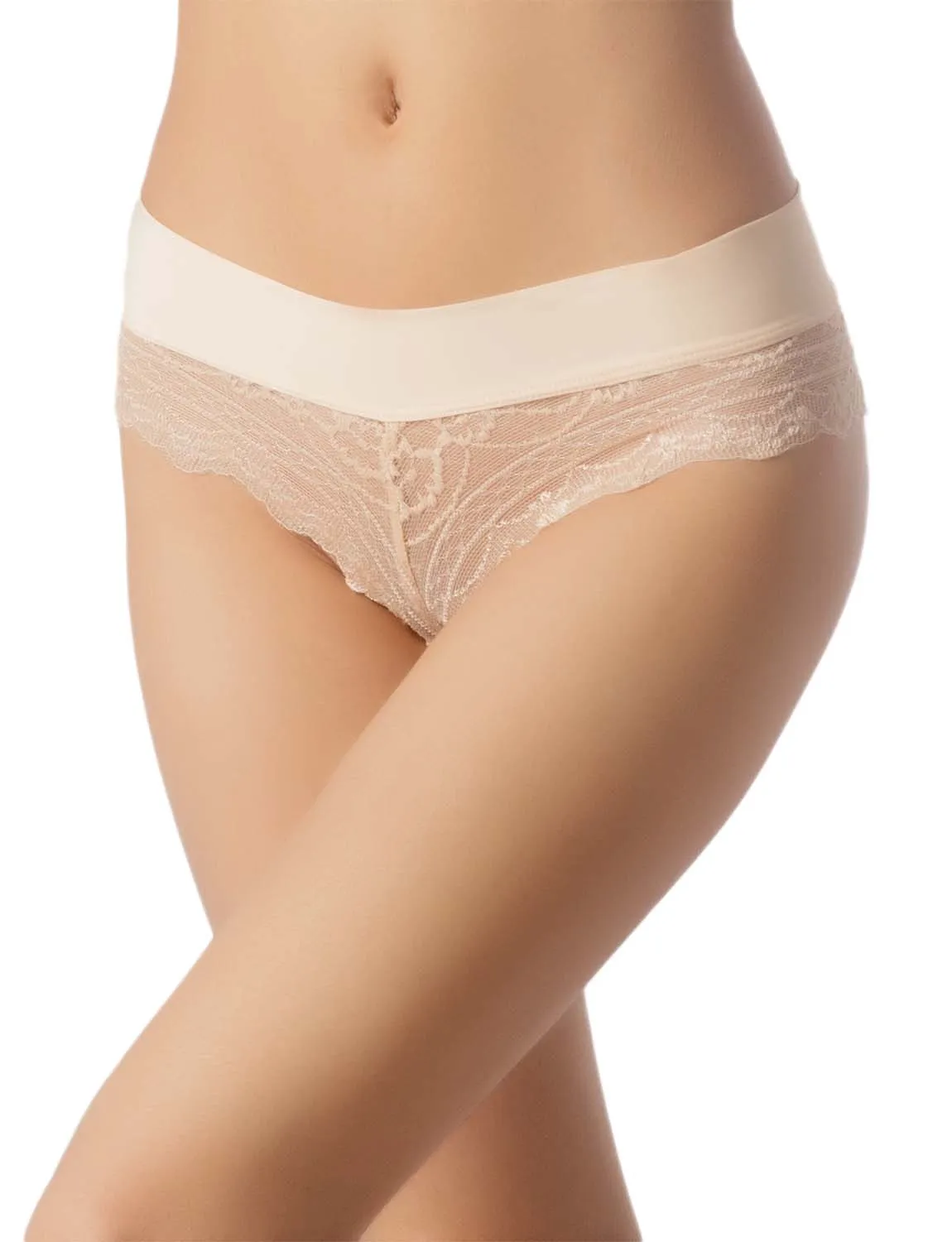 iB-iP Women's Wide Band Lace Mesh See-through Transparent Low Rise Hipster Panties