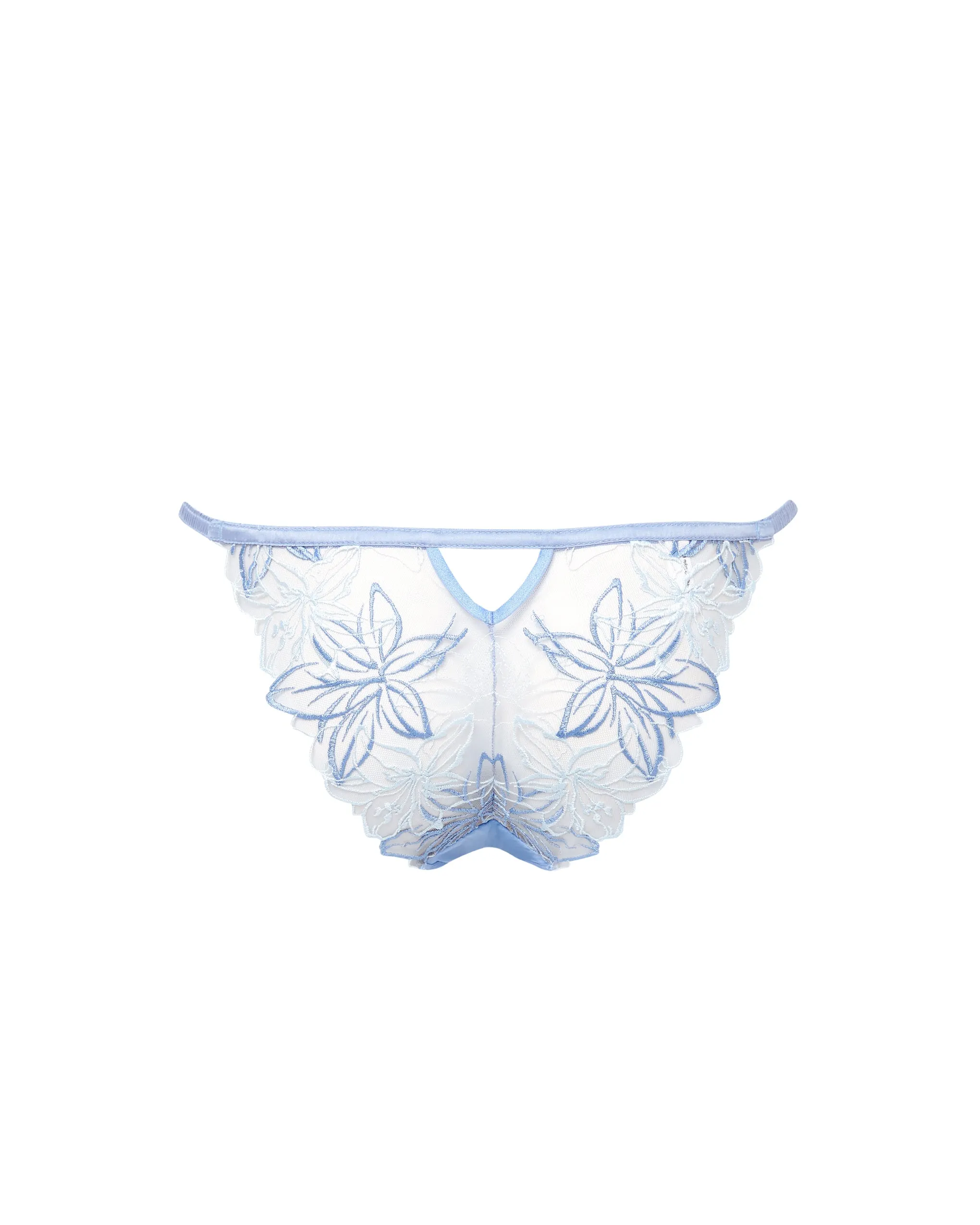 Lilly Brief Hydrangea Blue/Ice Water Blue/Sheer