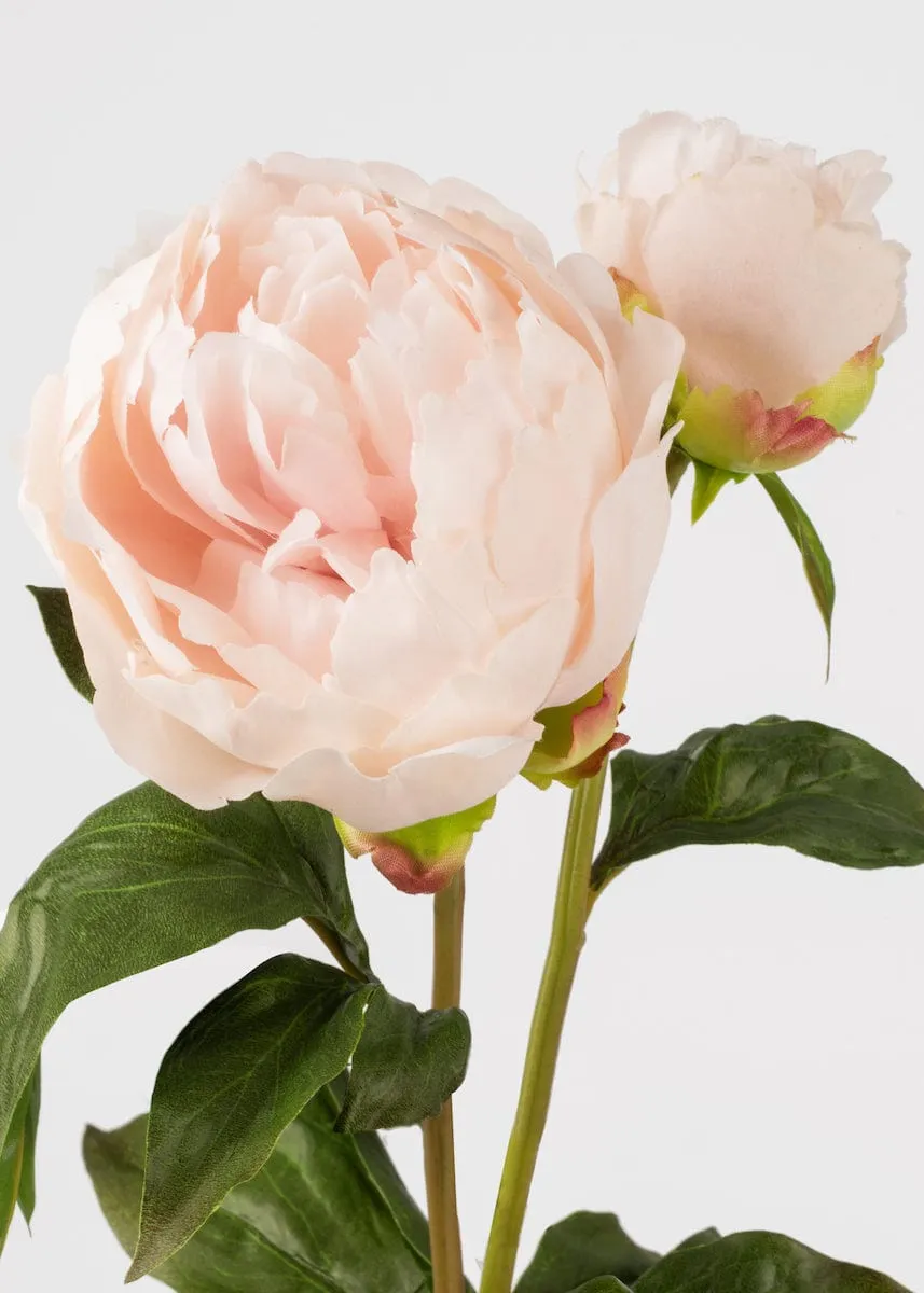 Real Touch Fake Flowers Blush Peony - 27"