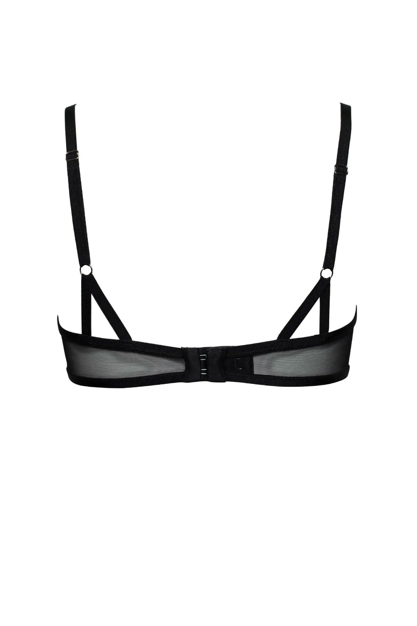 Satine Sheer Black Embroidered Demi Bra