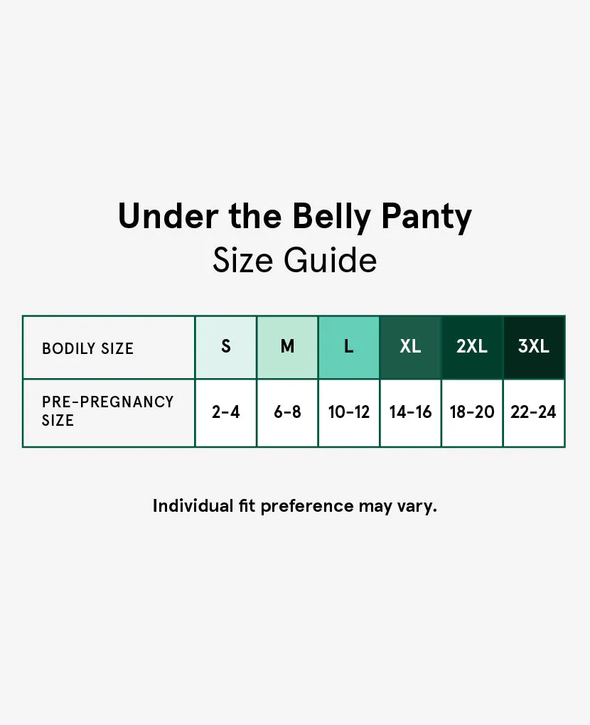 Under the Belly Panty: Plus 3-Pack